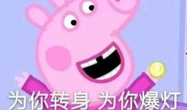 小猪最新爆料,揭秘娱乐圈幕后真相