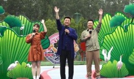 南宁万达爆料视频大全最新,精彩瞬间尽收眼底